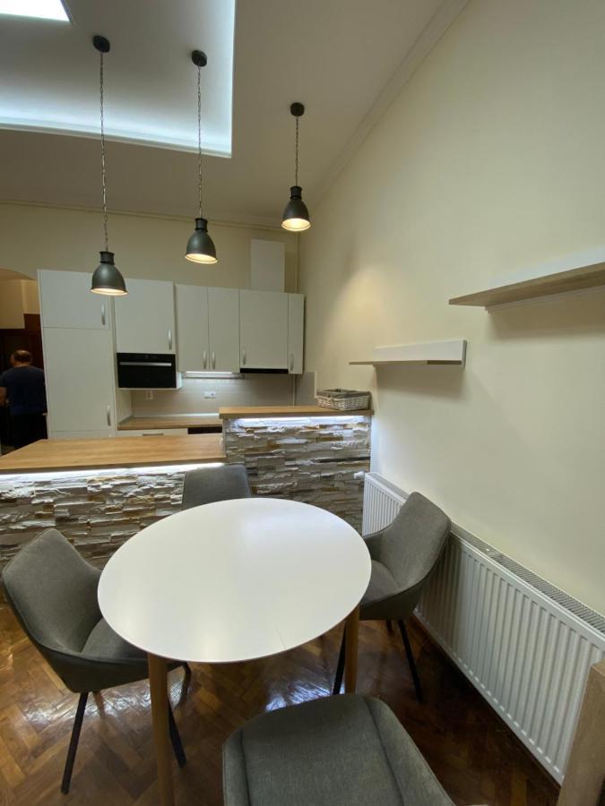 Centre Ville Apartment Клуж-Напока Екстериор снимка
